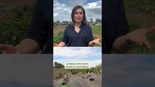 Farm-to-table app connects consumers directly to the source | NBC 7 San Diego