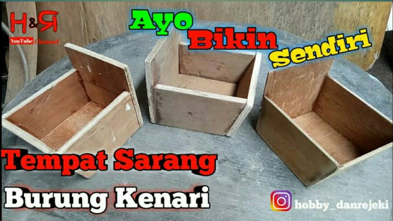 Cara membuat tempat sarang burung kenari