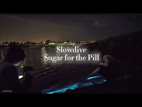 💊’Slowdive - Sugar for the Pill |Türkçe çeviri|