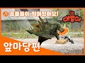 공룡 댄스 | 율동 동요 | 어느 마당 앞에서 벌어진 사건..! (feat, 공룡과 개미) | [공룡 대발이TV]