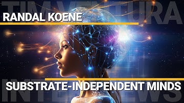 Substrate Independent Minds | Randal Koene