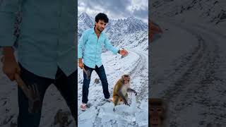#Monkey #MonkeyVideo #AIVideo #AIReels #ViralVideo #TrendingNow #FunnyMonkey #AnimalVideo