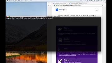 BioJupies Tutorial Part 7 of 8 - Reusing Notebooks