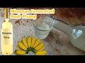 Gin's Botanical Symphony: Unveiling the Essence of Fermented Juniper Spirit