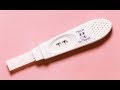 【衝撃】オークションに出品された有名人のゴミ10選【ヒミツノトビラ】