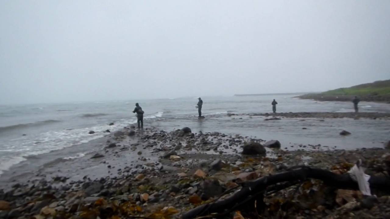 16 9 2枝幸のフライフィッシングでのサケ釣り Youtube