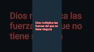 Dios puede superar las leyes matemáticas
