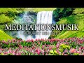 Energetische Reinigung - Meditationsmusik, um negative Emotionen zu beseitigen - Naturklänge