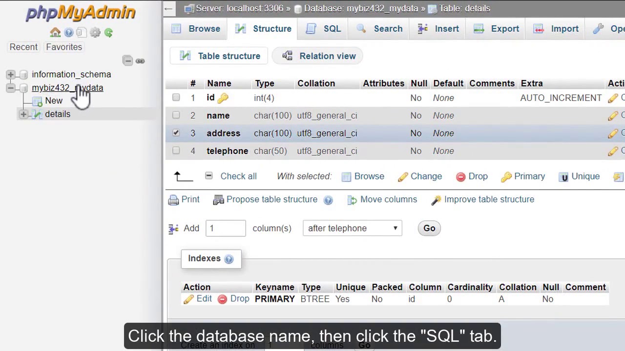 phpMyAdmin vasitəsilə verilənlər bazasına SQL sorğuların yerinə yetirilməsi.