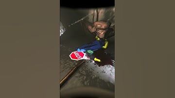 Random Lethal Company Moments #1