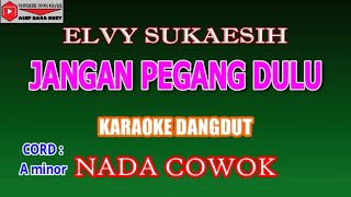 KARAOKE DANGDUT JANGAN PEGANG DULU - ELVY SUKAESIH (COVER) NADA COWOK