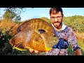 The BLUEGILL THAT EATS BASS FOR LUNCH!! (UNREAL)