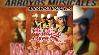 Vignette de la vidéo "AUNQUE TE ENAMORES - LOS CICLONES DEL ARROYO"