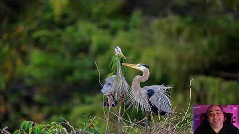 Config: Sitefinity Backend Interface to Change Owner Visually in the Backend