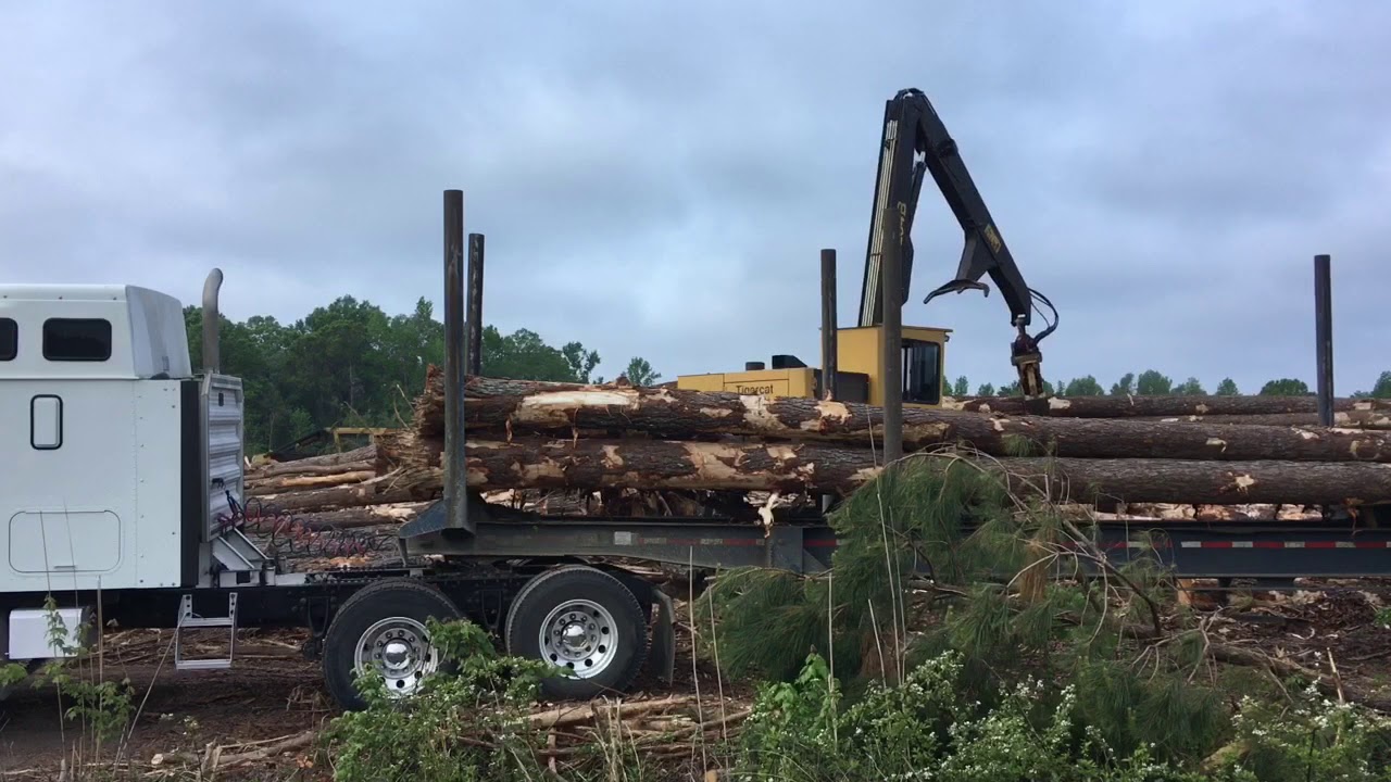 Tigercat 234B - YouTube