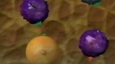 04 Macrophages initiate immune response.mov