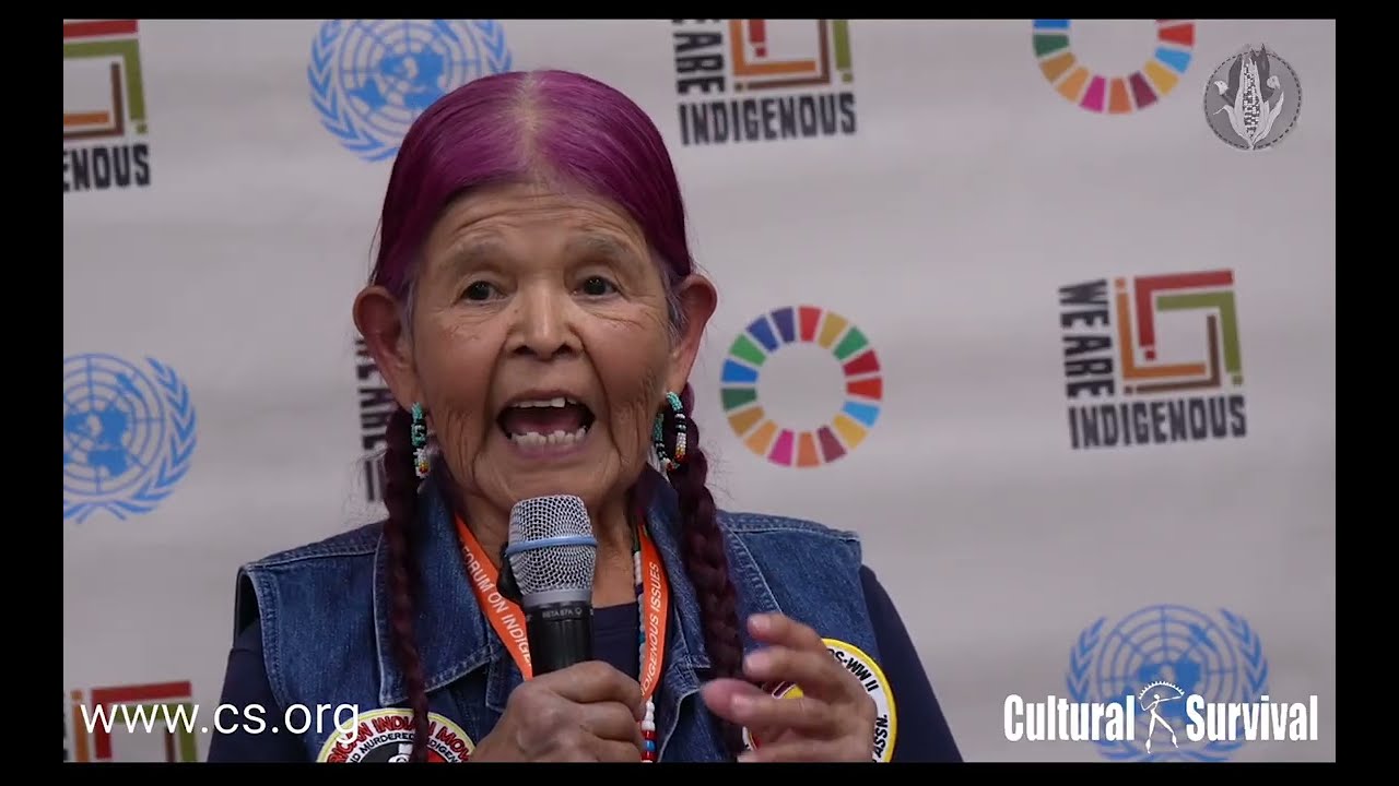 Eagle and Condor May 3rd 2026 from UN forum on Indigenous Issues in NCY