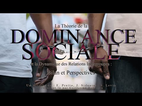 La Théorie de la Dominance Sociale et la Dynamique des Relations Intergroupes: Bilan et Perspectives