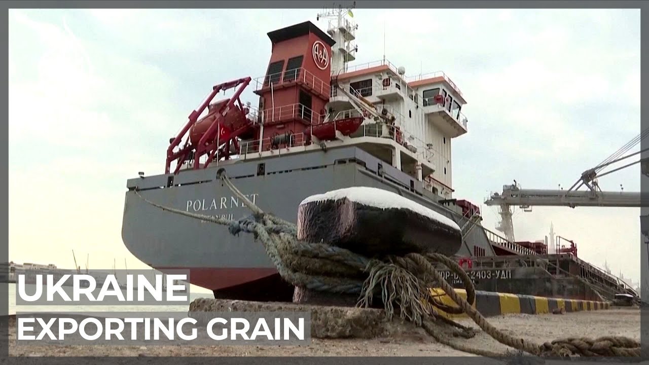 Zelenskyy visits port as Ukraine prepares to ship out grain