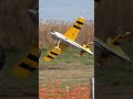 RC Plane Aerobatics by Suzuki Yuhei