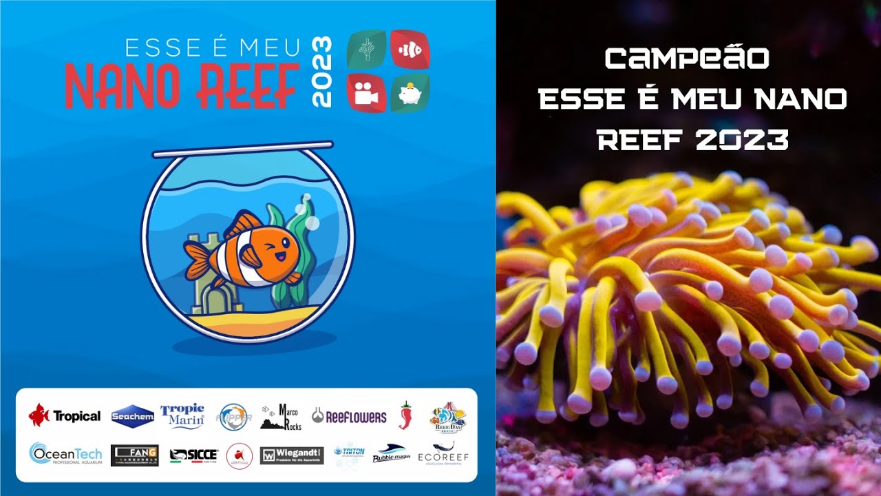 Resultado do Concurso - Esse é meu Nano Reef 2023