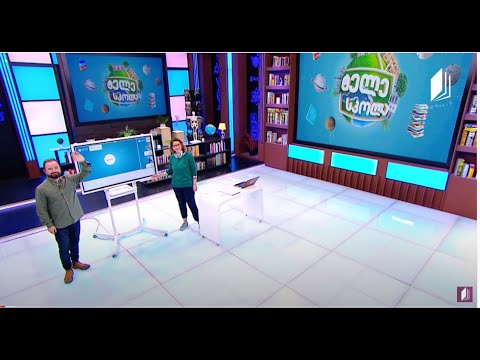 დაწყებითი კლასები / Young Learners - We are the Winners / Should ​ #ტელესკოლა