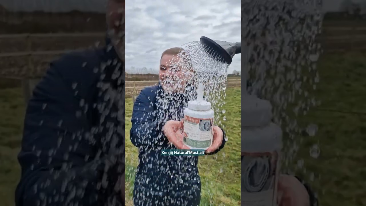 User Generated Content met Paarden 🐴 