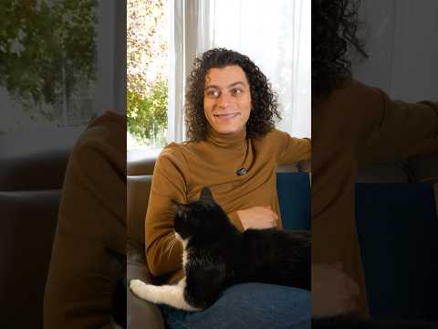 Le meilleur ami du couple