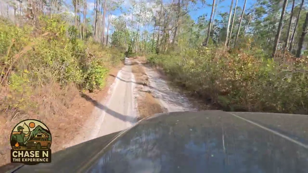 Trail riding with the family 