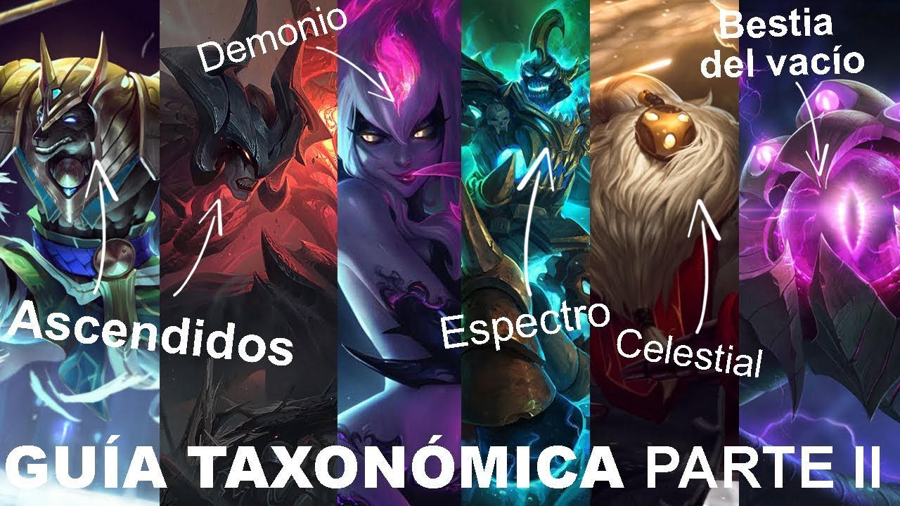 halo y ness lol youtube TODAS LAS RAZAS EN LEAGUE OF LEGENDS Parte II | Universo Lol con Halo | Historias de campeones
