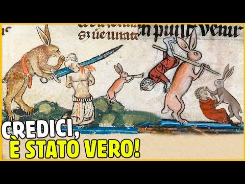 8 CURIOSITÀ DELLA