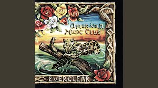 Video thumbnail of "American Music Club - What The Pillar Of Salt Held Up"