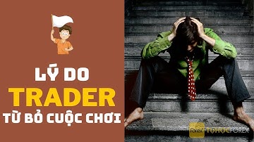 4 Sai Lầm Chết Người Khiến Trader Phải "Rời Cuộc Chơi" (Và Cách Tránh)