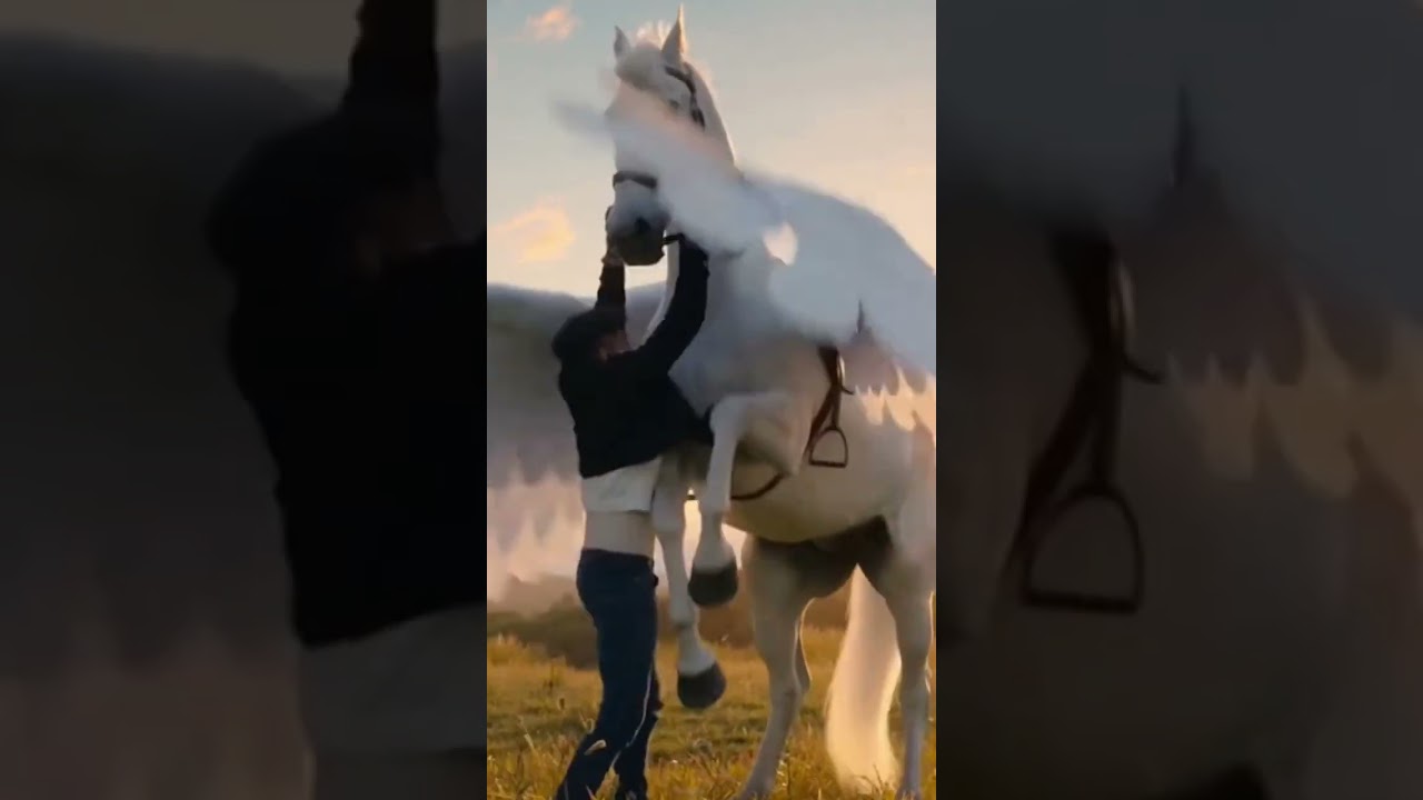 Udne Wale Ghode Par Baithkar Uda 😱 | Shocking Flying Horse Experience 