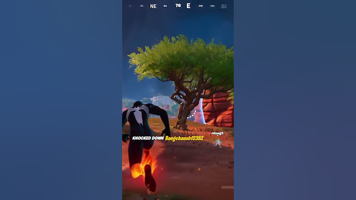 My Twenty-Ninth Season 3 Victory Royale