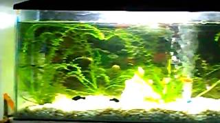 DSCN0048.AVI
