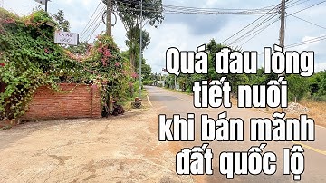 Quá đau lòng khi không còn khả năng trả nợ nên bán mãnh đất nằm trên trục đường chính chính