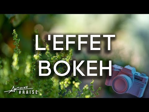 Vidéo: Qu'est-ce que le mode bokeh sur mobile ?