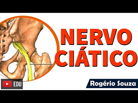 Vídeo: Anatomia Do Nervo Ciático, Localização E Diagrama - Mapas Do Corpo