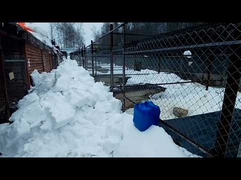 Приют на грани