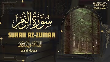 سورة الزمر تلاوة خاشعة تبعث السكينة والطمأنينة | Surah Az-Zumar Emotional and Peaceful Quran Recap