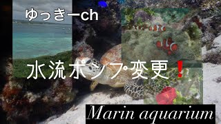 【サンゴ水槽】第10回水流ポンプ交換❗️