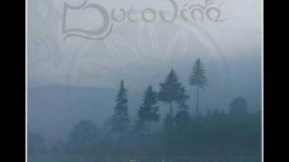 Video thumbnail of "Bucovina-Luna peste vârfuri"