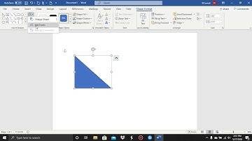 Shape Format Tab and Insert Shape Group in Word