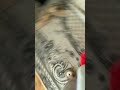 Анто Акто включает всё ￼
