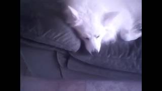 Loki Cool