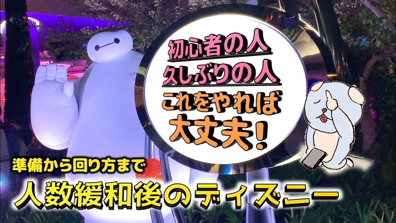 ディズニーチケット購入からパークの回り方までのコツを解説します ディズニーランド 人数緩和 初心者 久しぶり Youtube