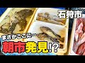 【北海道】石狩で穴場すぎる朝市見つけた…漁港内にある漁師さんの直売所!