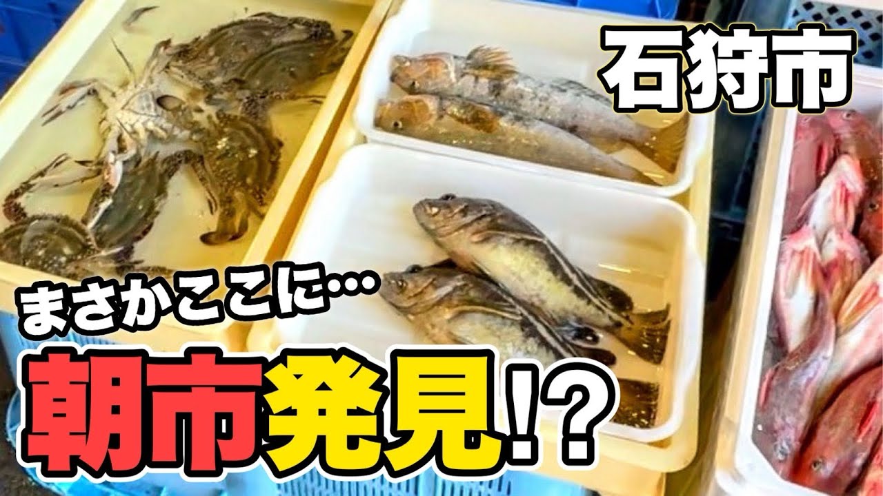 【北海道】石狩で穴場すぎる朝市見つけた…漁港内にある漁師さんの直売所!