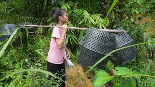 Full Video: Poor girl. Catch fish go to the village sell - Farming, Garden